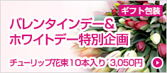 バレンタインデー＆ホワイトデー特別企画